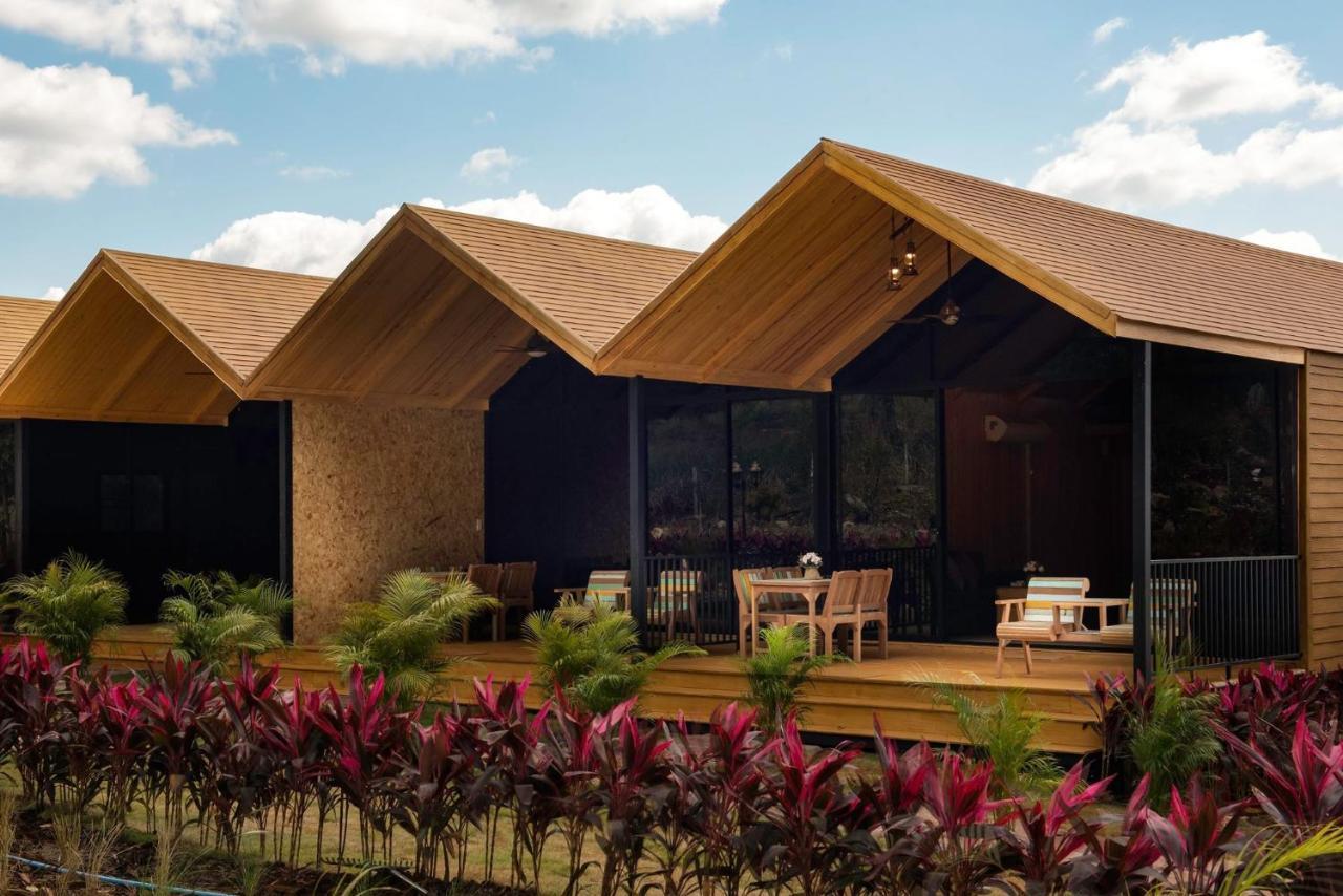 Khao Yai National Park 考艾勃朗峰营舍旅馆酒店 外观 照片